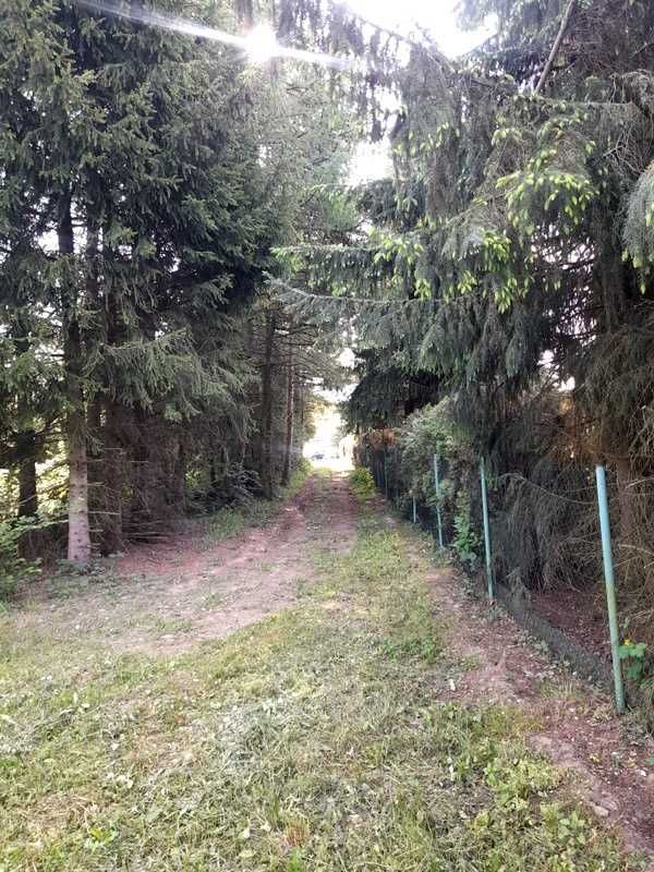 Działka budowlana Hryniewicze. Zdjęcie 8