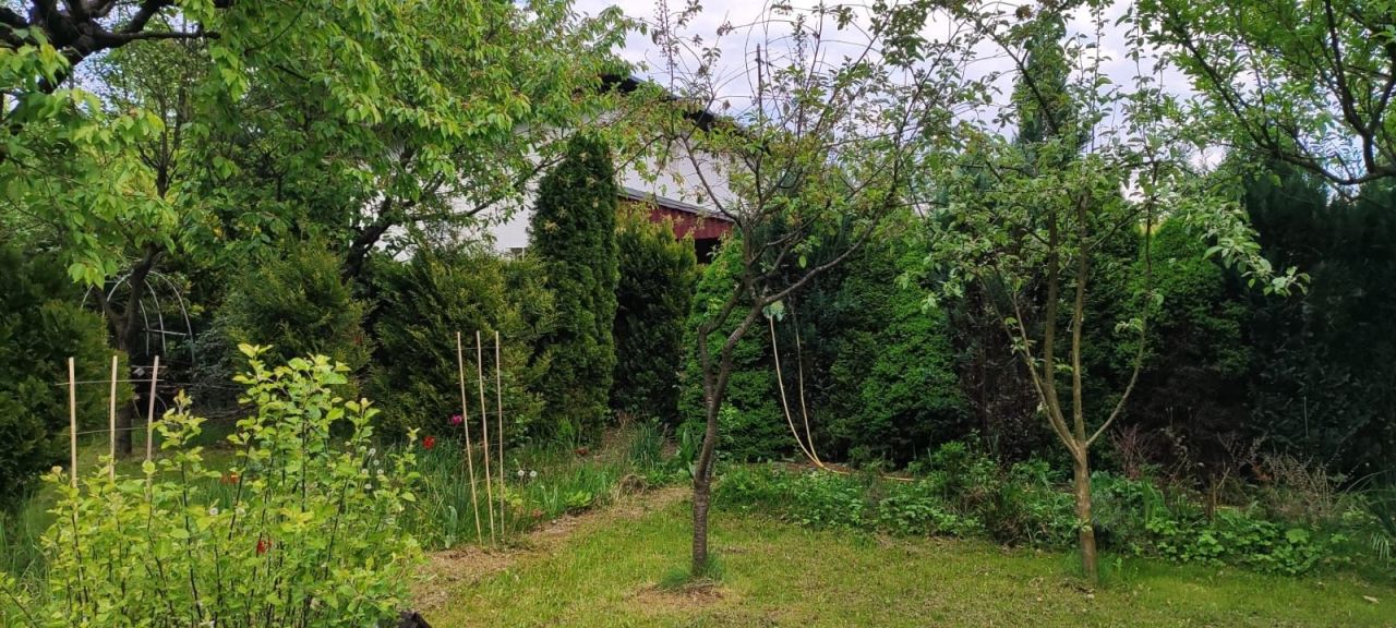 Działka rod Bielsko-Biała. Zdjęcie 4