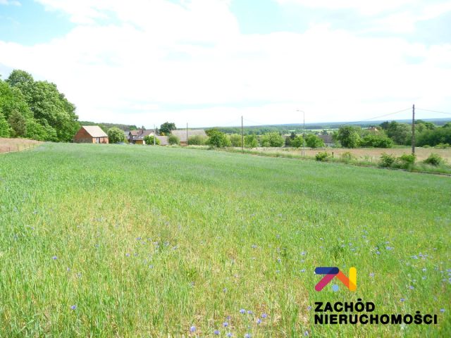 Działka rolna Drągowina. Zdjęcie 5