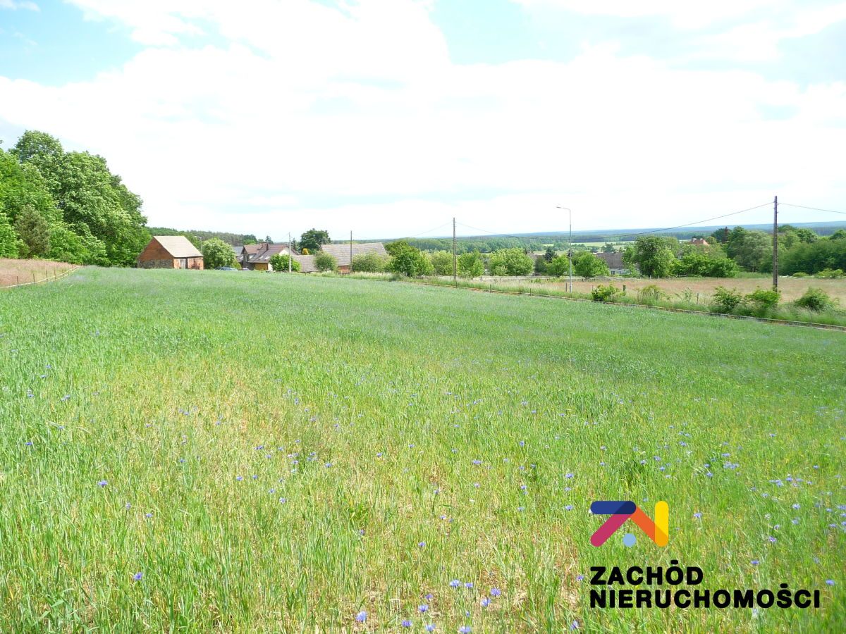 Działka rolna Drągowina. Zdjęcie 5