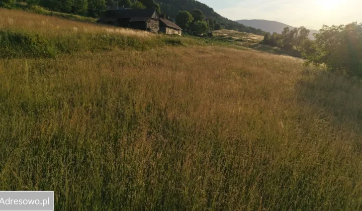 Działka budowlana Tęgoborze