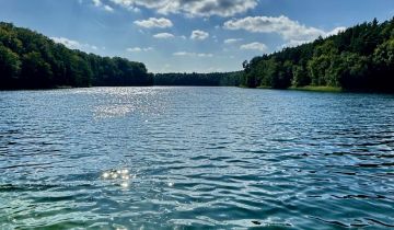 Działka rekreacyjna Dłusko