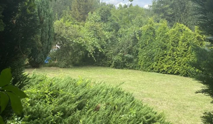 Działka rod Świętochłowice, ul. Pokoju