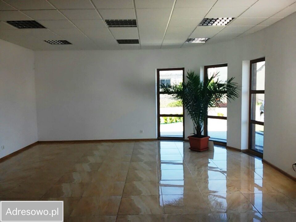 Lokal Brzoza, ul. Polna. Zdjęcie 8