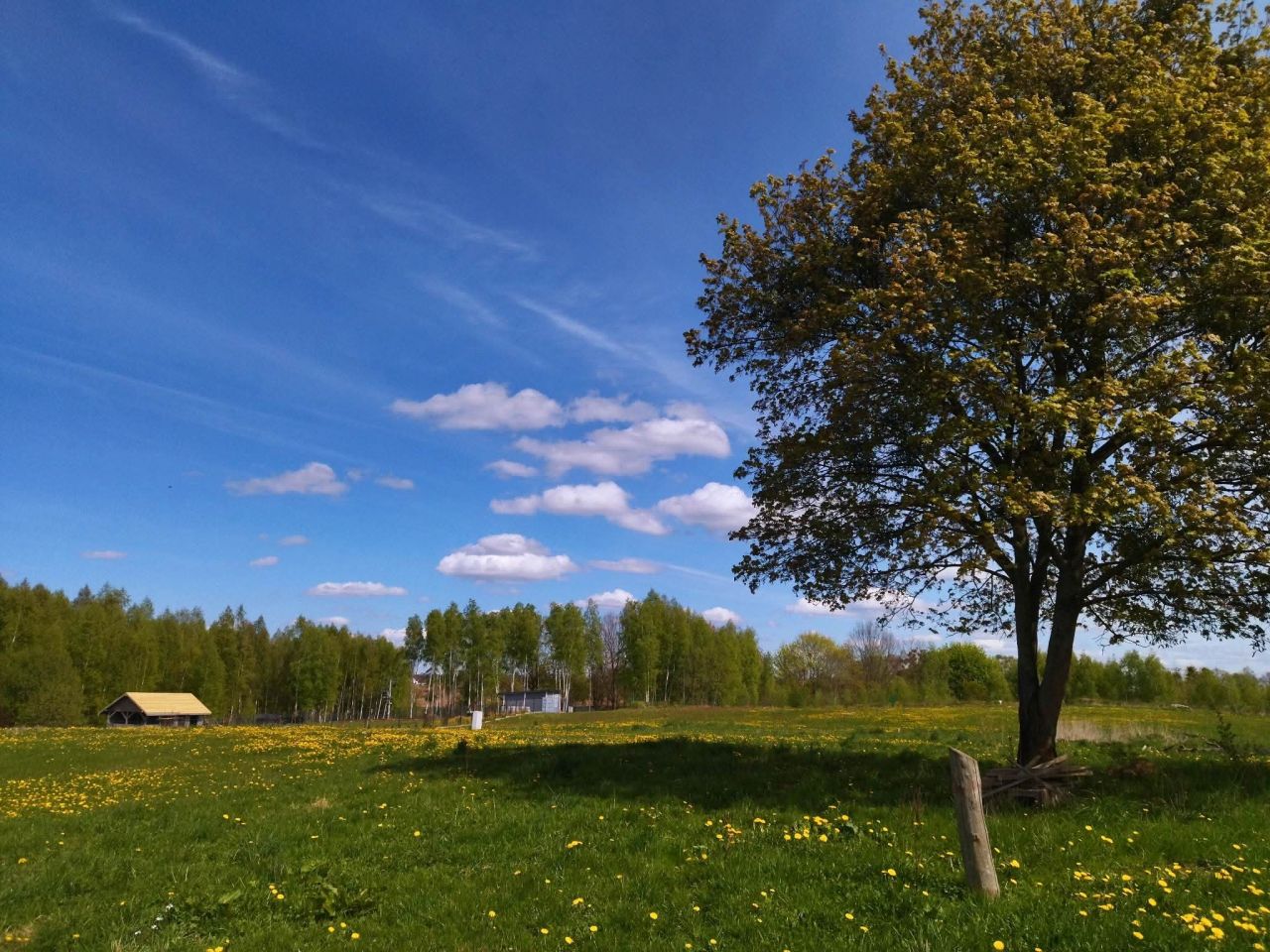 Działka rekreacyjna Raj. Zdjęcie 12