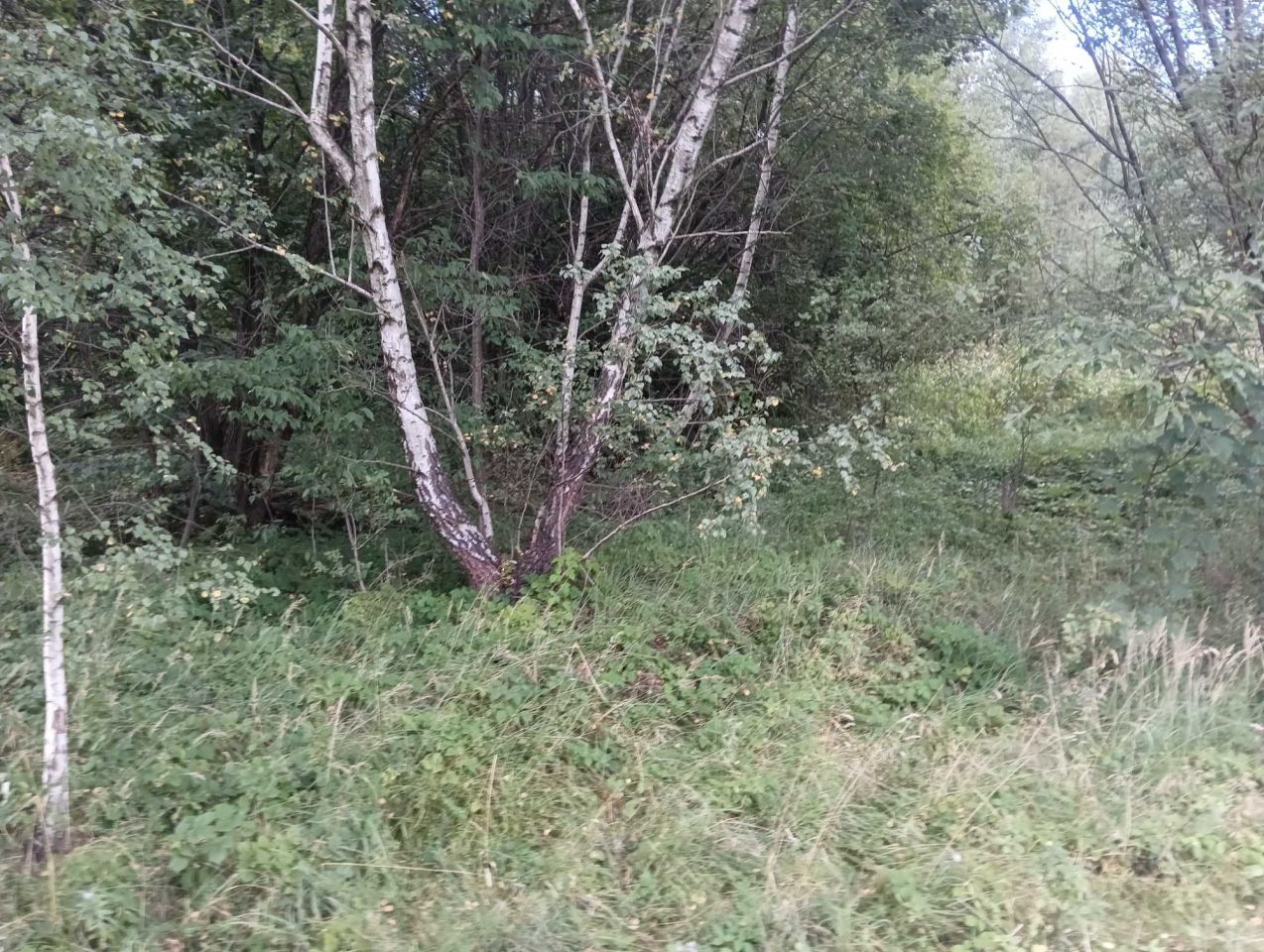 Działka budowlana Chyszówki. Zdjęcie 8