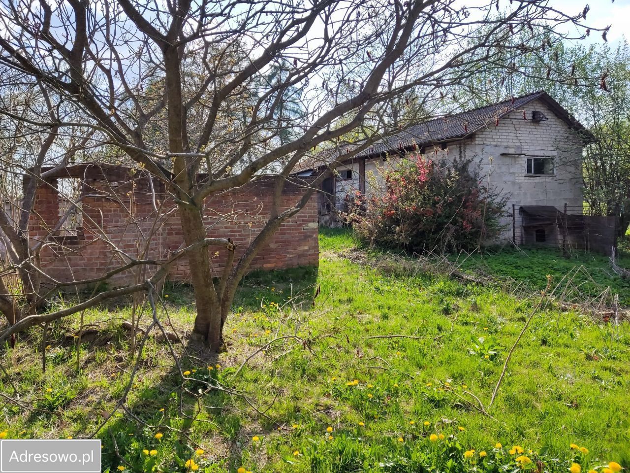 gospodarstwo, 2 pokoje Jaślików. Zdjęcie 2