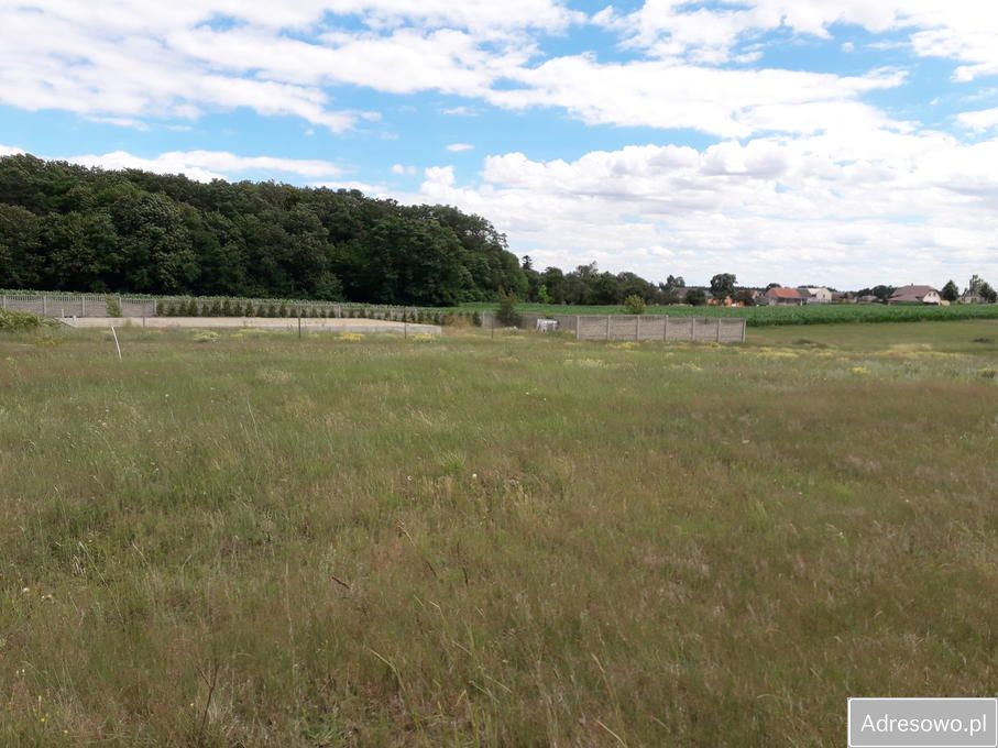 Działka budowlana Żakowo. Zdjęcie 7
