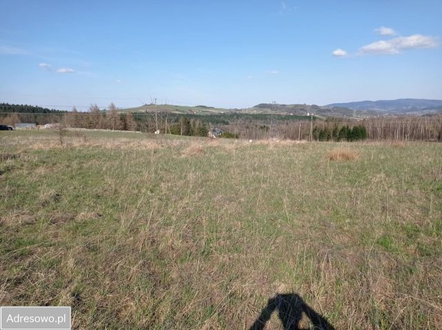 Działka budowlana Ptaszkowa. Zdjęcie 1