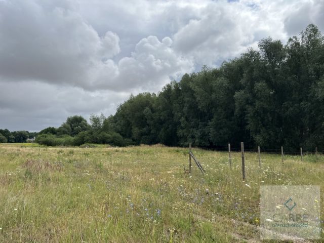 Działka budowlana Żarowo. Zdjęcie 2