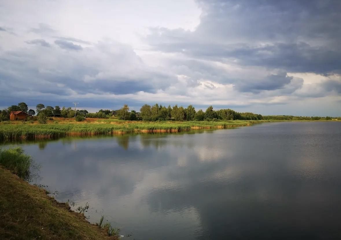 Działka rekreacyjna Polanowice Brzózki, Aleja Dębowa. Zdjęcie 6