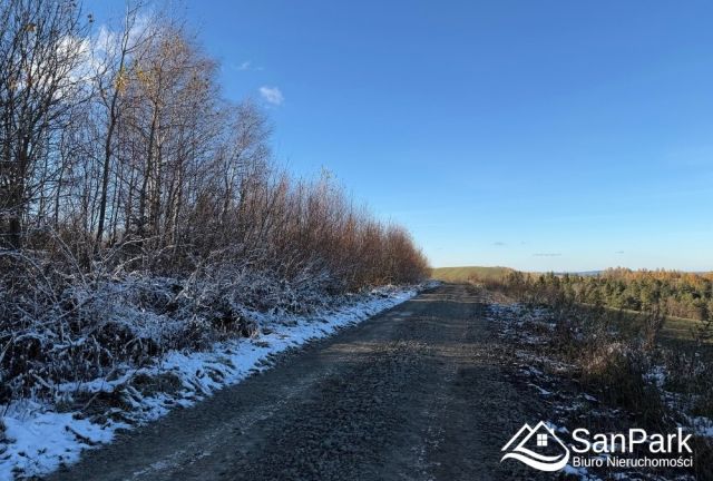 Działka rolna Kuźmina. Zdjęcie 6