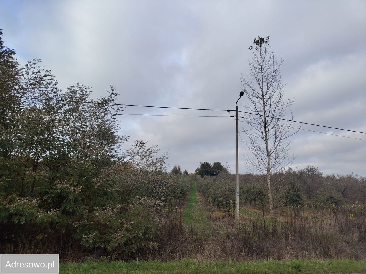 Działka rolno-budowlana Kazimierz Dolny Jeziorszczyzna. Zdjęcie 5