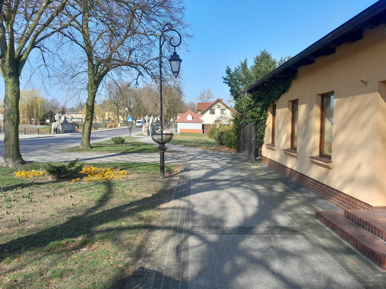 Działka rolna Czerniejewo, ul. Pałacowa. Zdjęcie 6