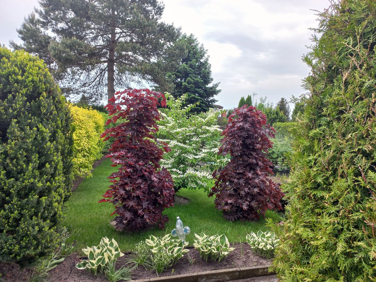 Działka rod Konin Wilków, ul. Świętojańska. Zdjęcie 6