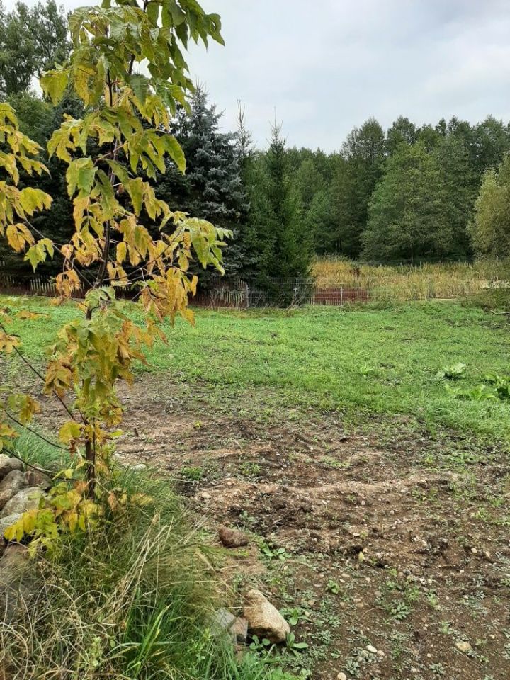 Działka budowlana Sobolewo. Zdjęcie 8