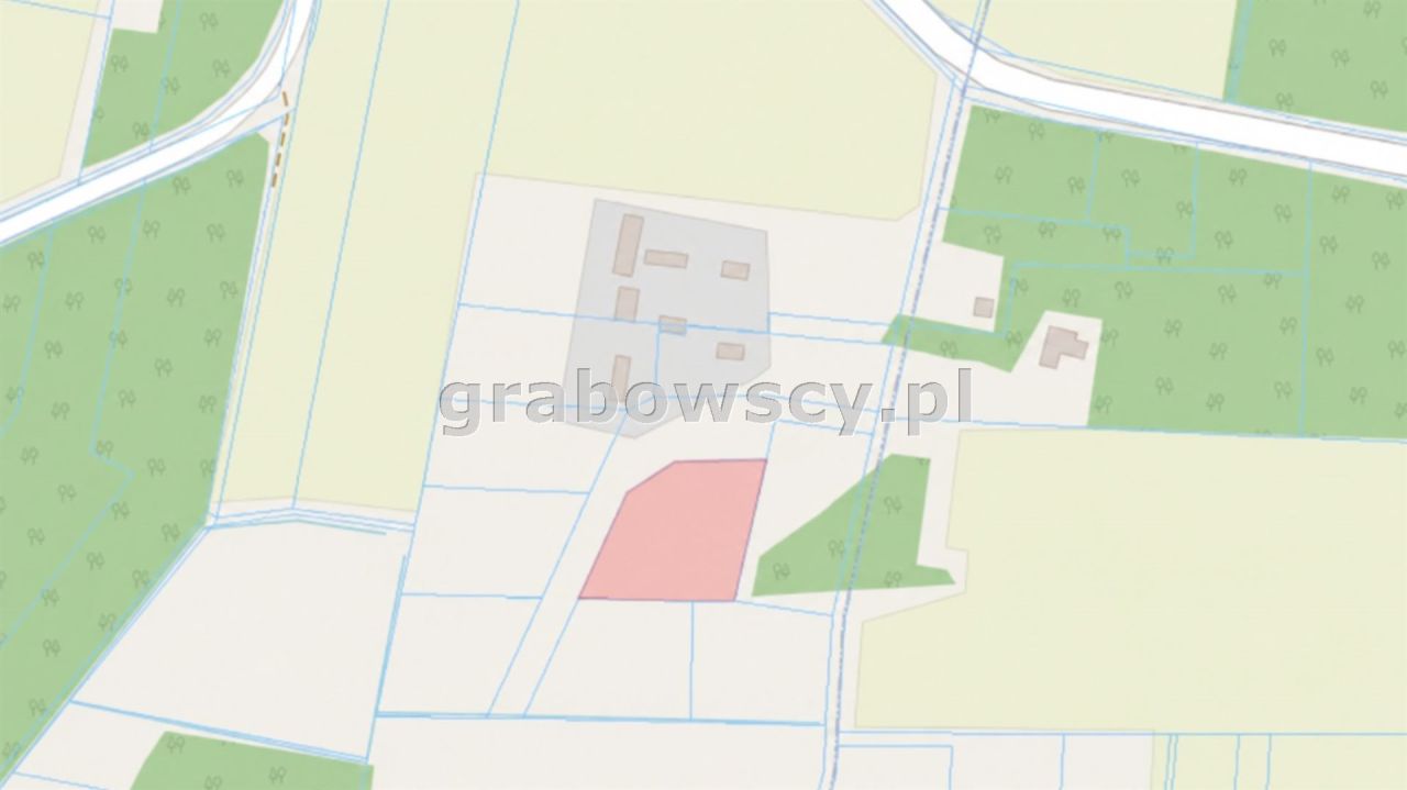 Działka rolna Wojszki. Zdjęcie 8