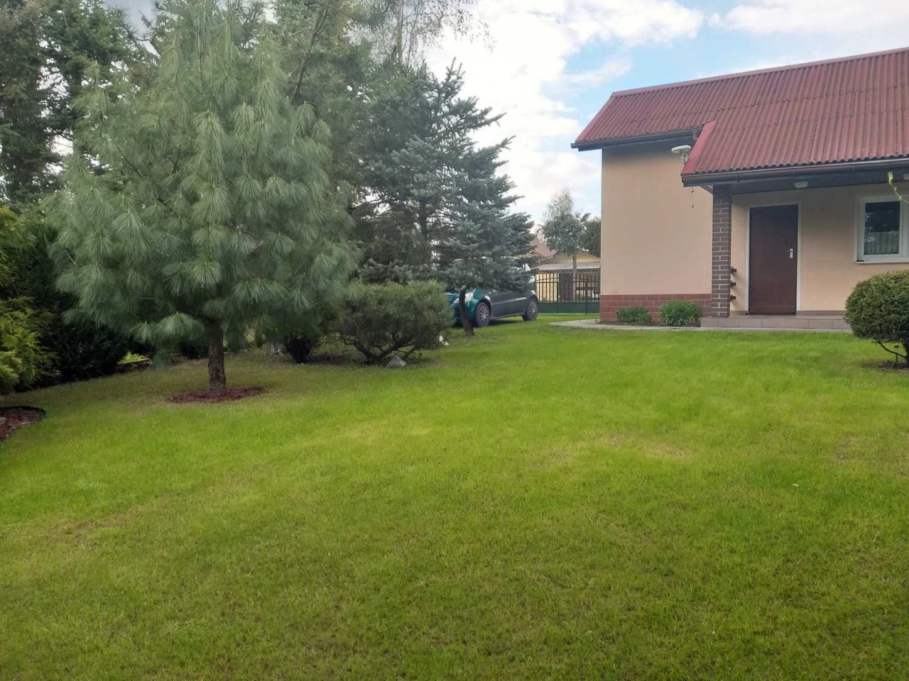 Działka rod Gorzkie Pole, ul. Starych Wierzb. Zdjęcie 2