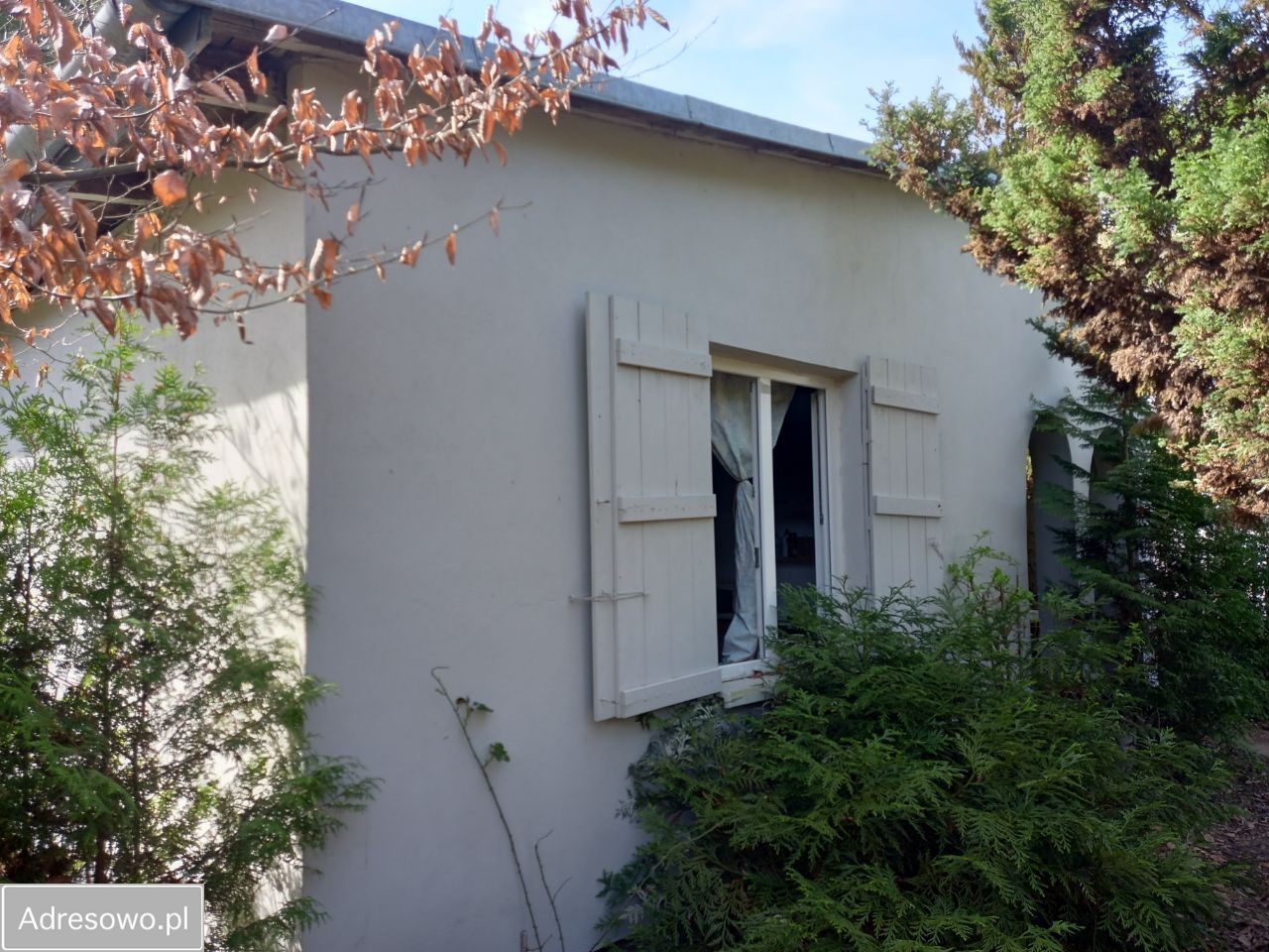 Działka rod Szczaki, ul. Mrokowska. Zdjęcie 2