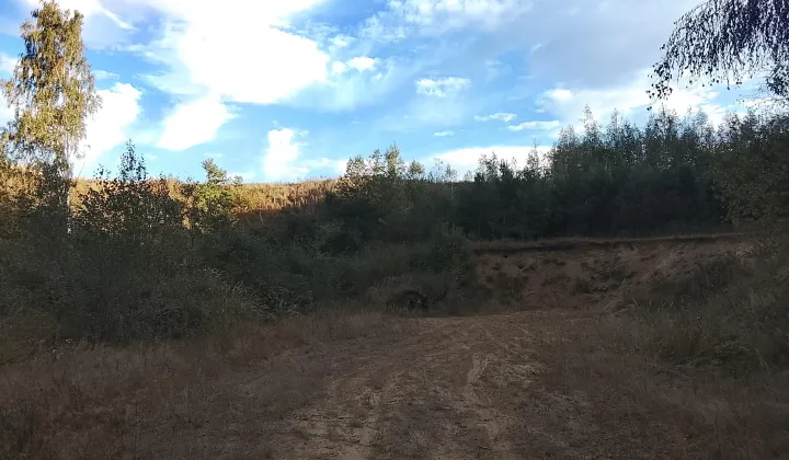 Działka rolna Olbrachcice Wielkie