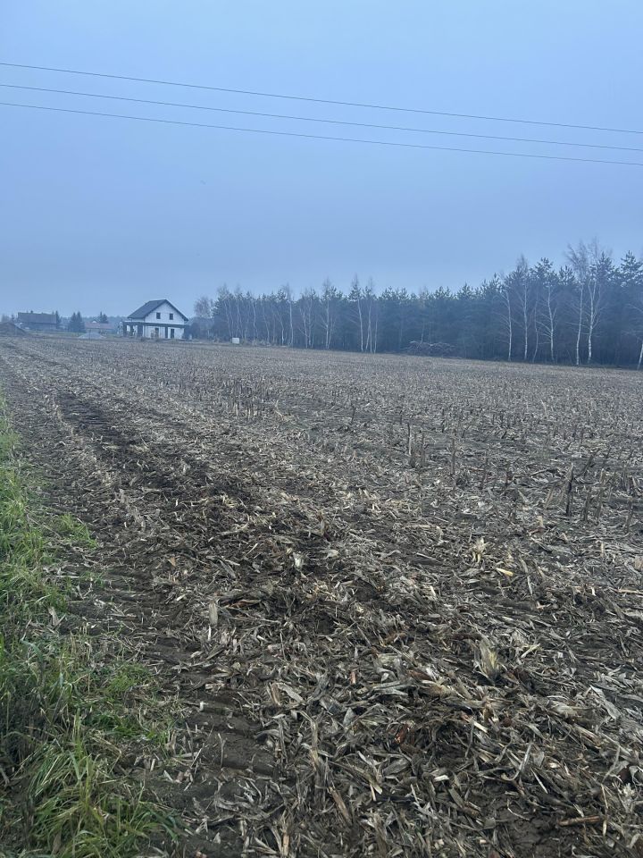 Działka budowlana Ruchocinek. Zdjęcie 4