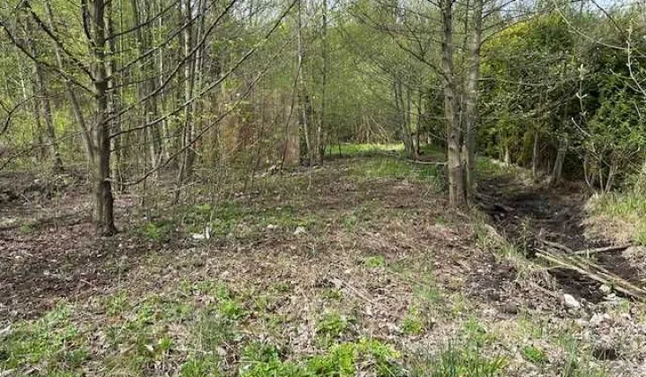 Działka budowlana Olkusz Mazaniec