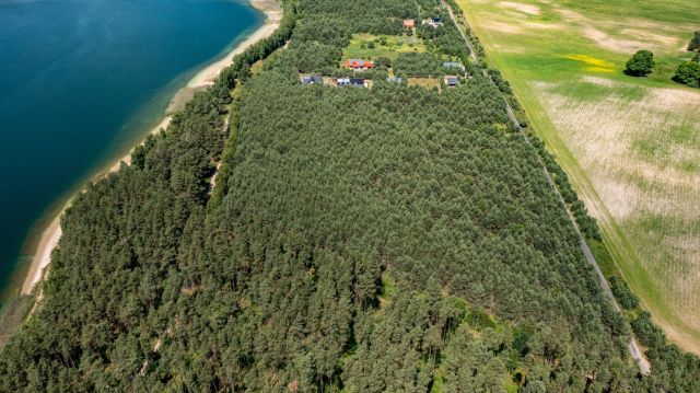 Działka inwestycyjna Koczała, Dymin. Zdjęcie 7
