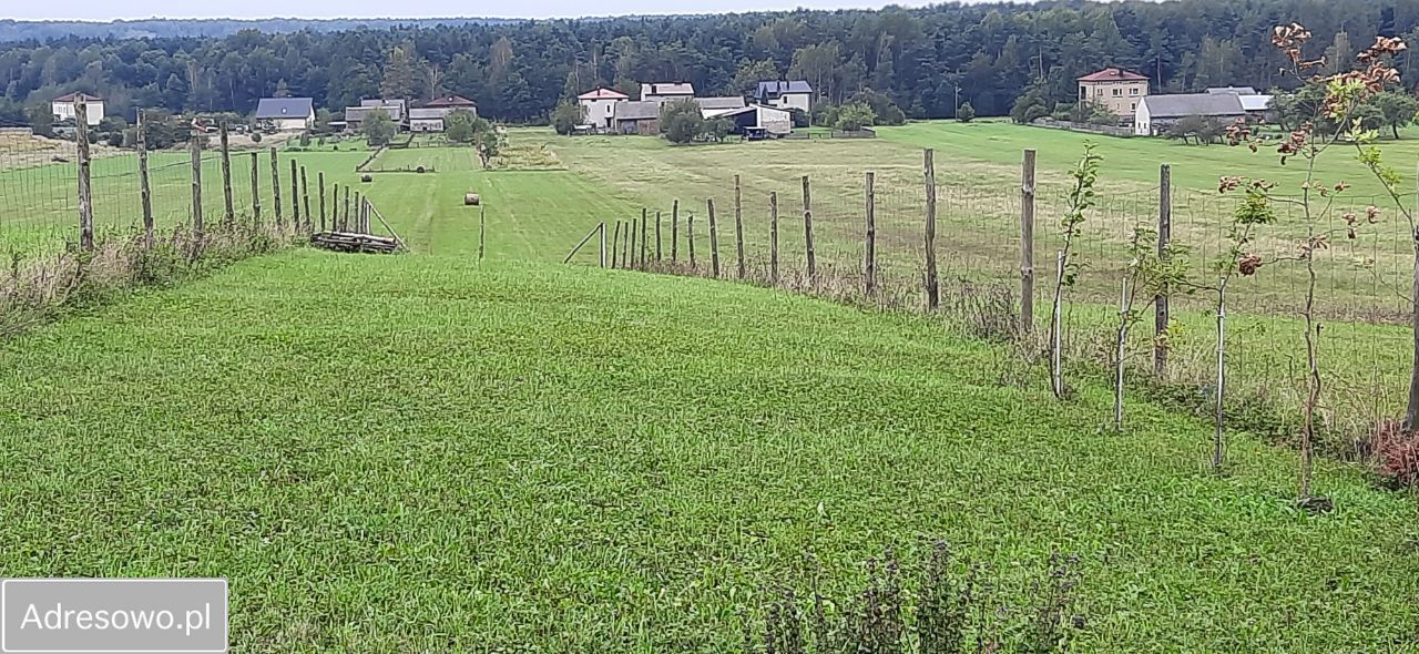 Działka rolna Poręba, ul. Wiosenna