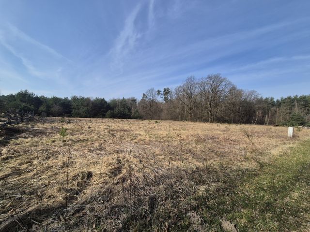 Działka budowlana Brzezinka. Zdjęcie 1