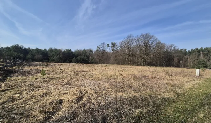 Działka budowlana Brzezinka