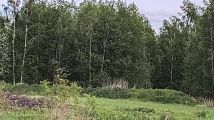 Działka budowlana Łozina, ul. Świerkowa. Zdjęcie 3