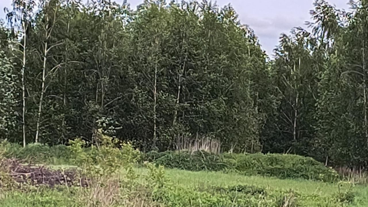 Działka budowlana Łozina, ul. Świerkowa. Zdjęcie 4