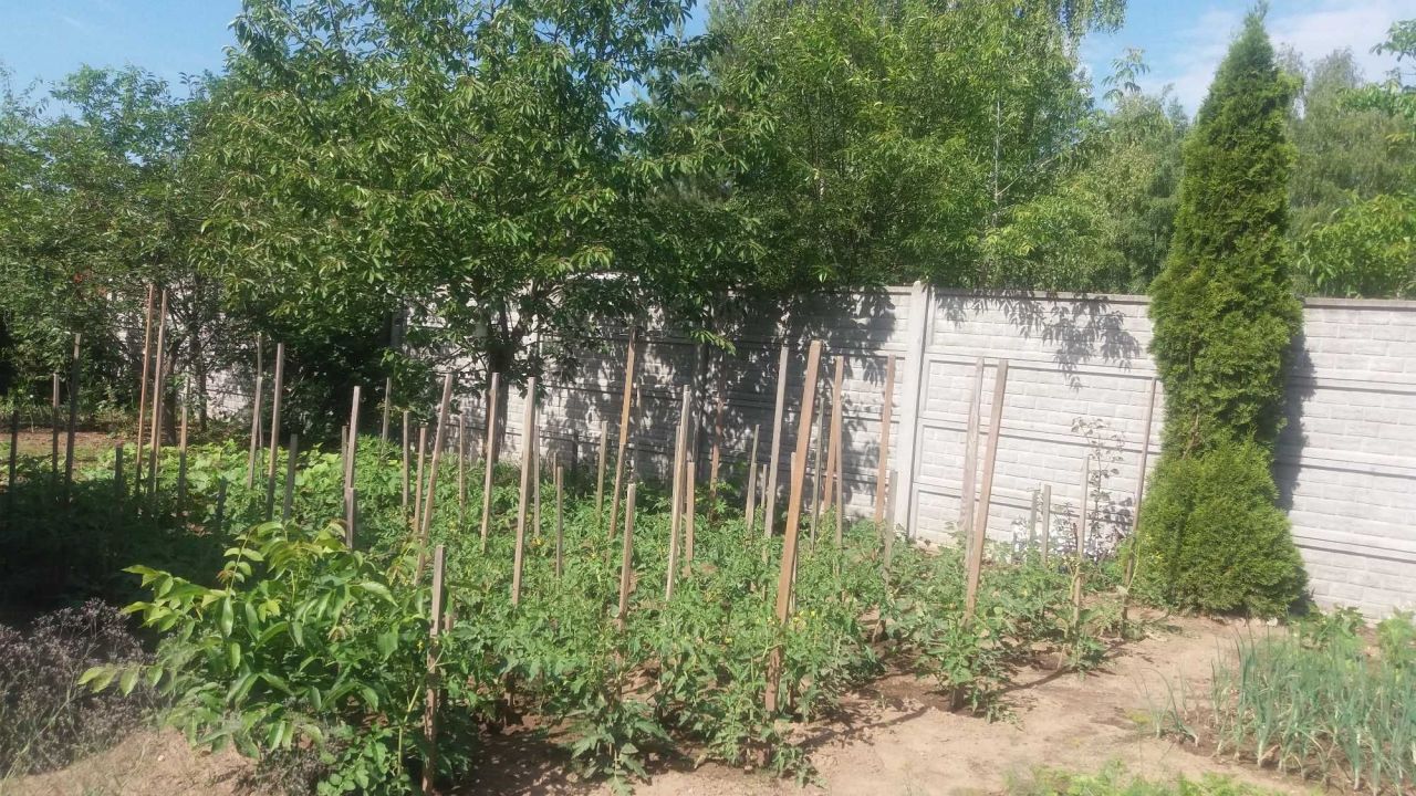 Działka budowlana Kanie. Zdjęcie 6