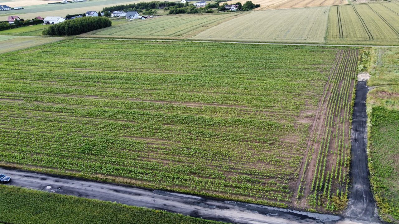 Działka rolno-budowlana Charzyno, ul. Zielona. Zdjęcie 5
