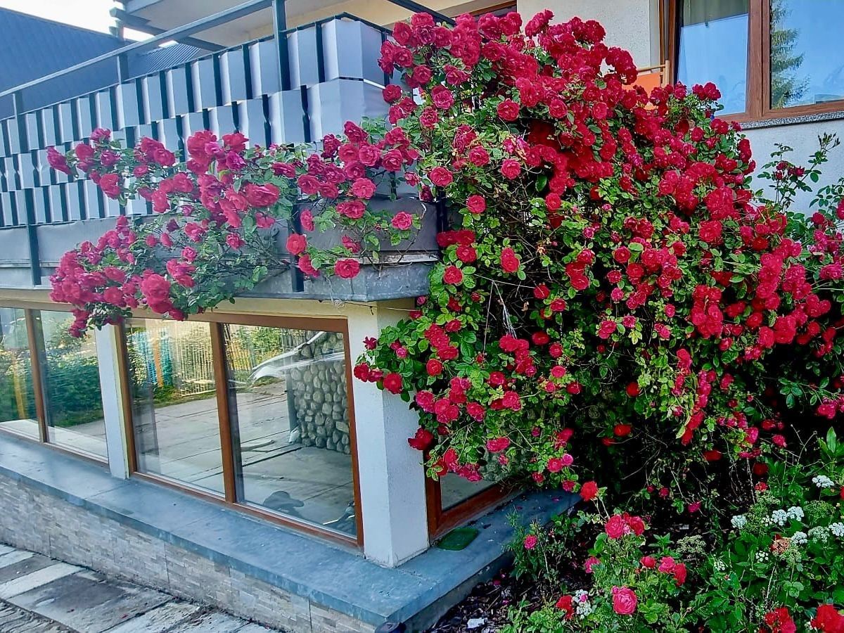 dom wolnostojący, 9 pokoi Zakopane, ul. Bachledzki Wierch. Zdjęcie 22