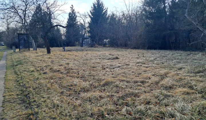 Działka rod Łódź Stoki, Prezydenta 21/27