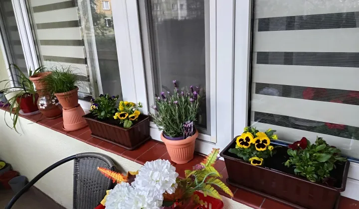 Mieszkanie 3-pokojowe Toruń Na Skarpie, ul. Ludwika Ślaskiego