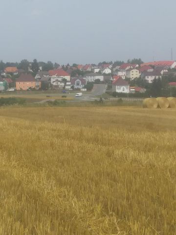 Działka rolna Mądrzechowo. Zdjęcie 1