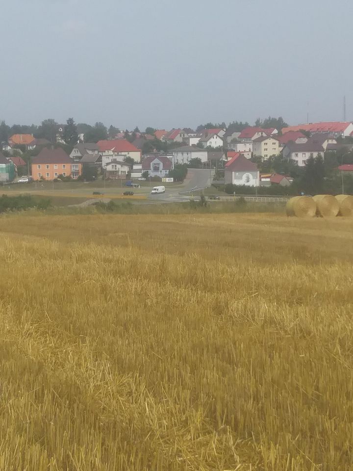 Działka rolna Mądrzechowo