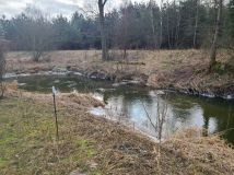 Działka inna Pełch. Zdjęcie 4