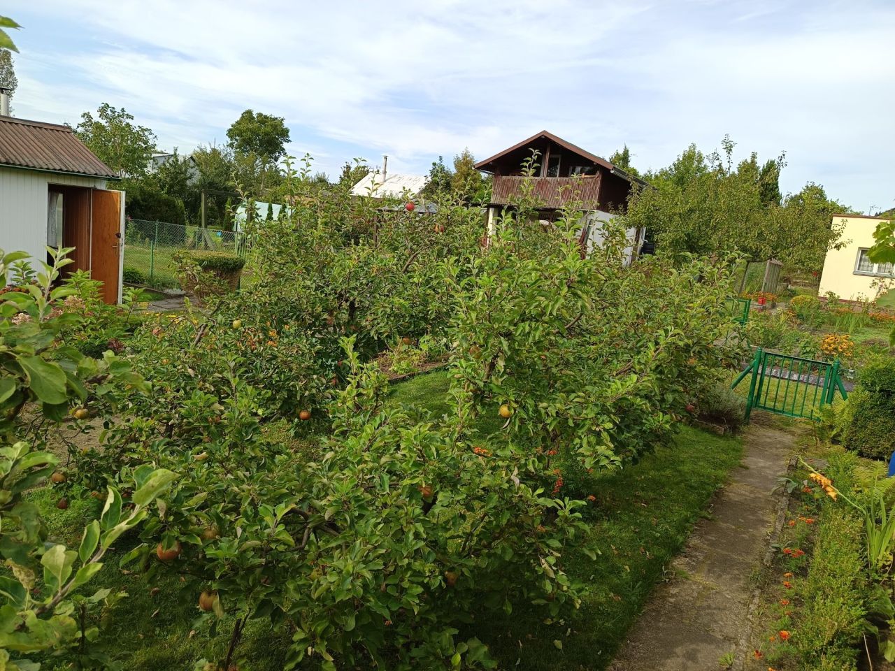 Działka rod Koszalin, ul. Wojska Polskiego. Zdjęcie 6