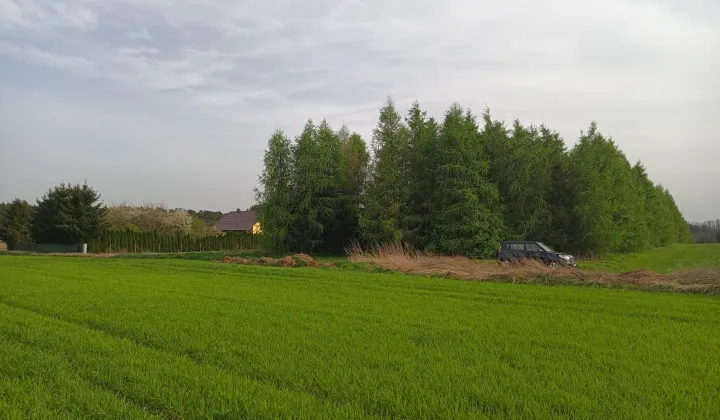 Działka rolno-budowlana Ciszkowo, ul. Polna