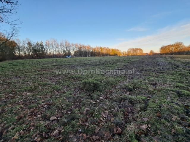 Działka budowlana Dąbrówka. Zdjęcie 7