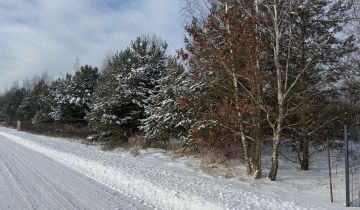 Działka budowlana Leśne Odpadki