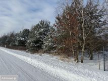 Działka budowlana Leśne Odpadki