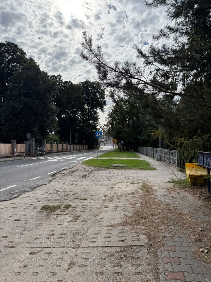Zdjęcie 6