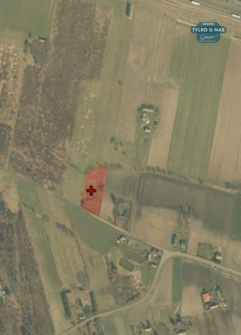 Działka siedliskowa Kiki. Zdjęcie 29