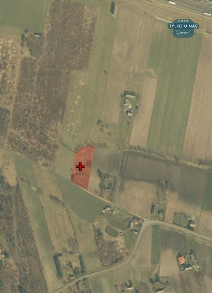 Działka siedliskowa Kiki. Zdjęcie 29