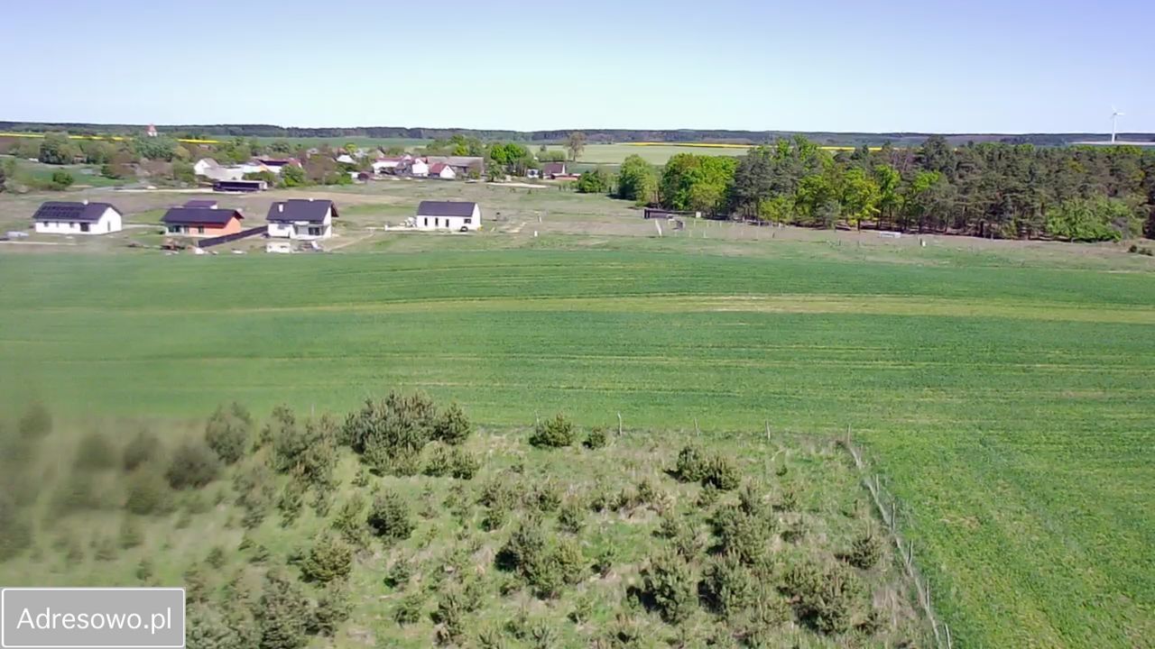 Działka rolno-budowlana Laski Lubuskie. Zdjęcie 6