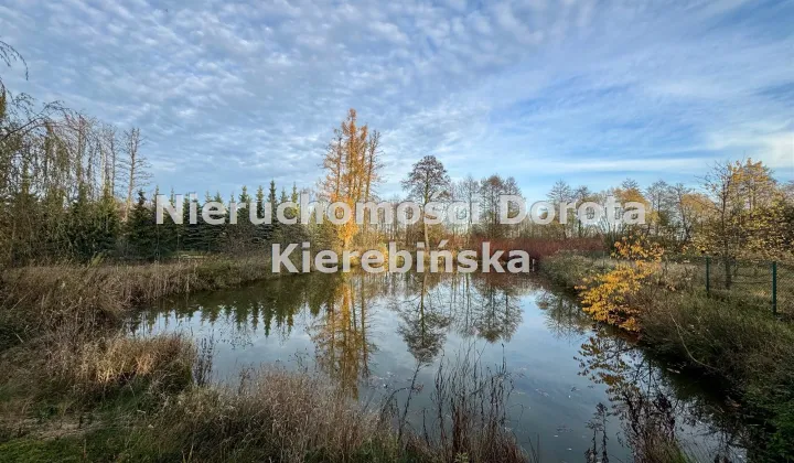 Działka inwestycyjna Sangrodz